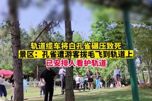 都体：莫塔熬夜多次观看输斯图加特录像，希望对阵国米扭转局面